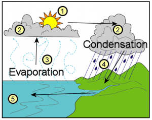 water  cycle 2a